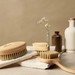 Lily & Leo Luxury Palm Pet Brush Outlet