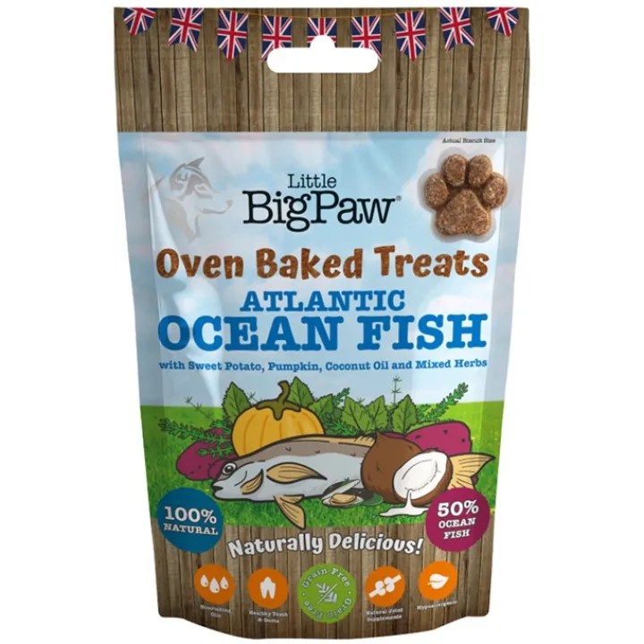 Little Big Paw Oven Baked Atlantic Ocean Fish Dog Treats 130g Best