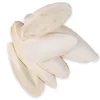 Little Friends Cuttlefish Bone (3) Online