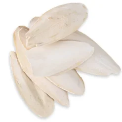 Little Friends Cuttlefish Bone (3) Online