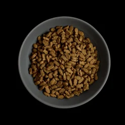 MORE Condition Salmon Adult Cat Dry Food New