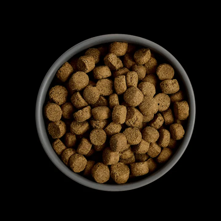 MORE Digestion Chicken All Breed Dog Dry Food Online