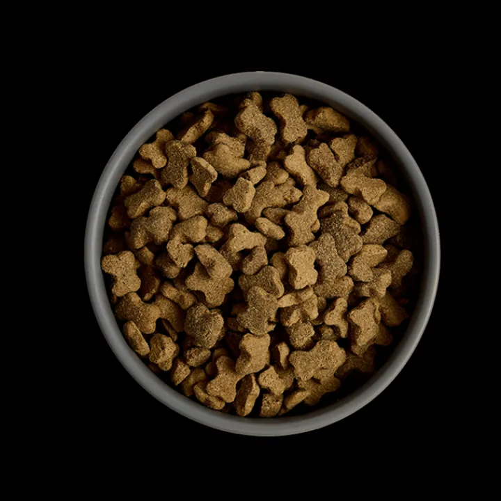 MORE First Steps Chicken Large Breed Puppy Dry Food Hot