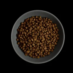 MORE First Steps Chicken Kitten Dry Food Best