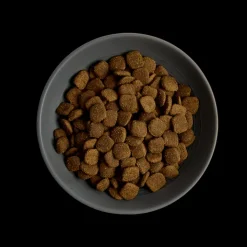 MORE Oral Care Chicken Adult Cat Dry Food Outlet
