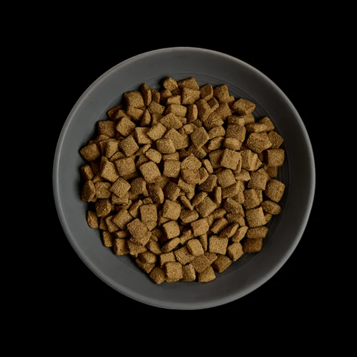 MORE Senior Chicken Cat Dry Food Outlet