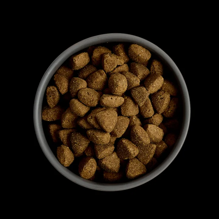 MORE Support Chicken Large Breed Dog Dry Food New