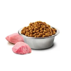 Natural & Delicious Kitten Food Prime Chicken & Pomegranate Clearance