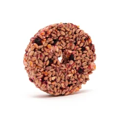Norah's Beetroot Crunch Small Animal Treats Fashion