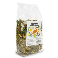 Norah's Dandelion Small Animal Salad Online