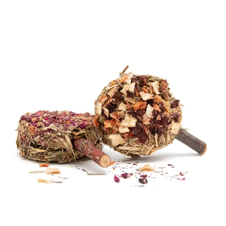 Norah's Hay Lollies Small Animal Treats Online