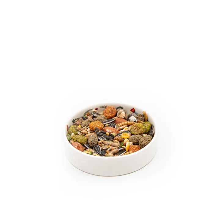 Norah's Small Animal Ceramic Food Bowl New