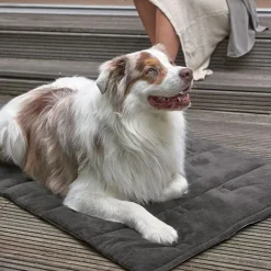 Palopa Alma Anthracite Dog Mat Online