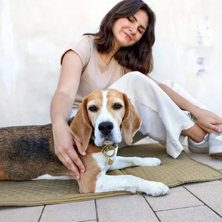 Palopa Nobo Sage Dog Travel Bag Online