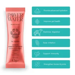 Pawer Water Gut Health Advanced Wellness Hydration for Dogs - 12 sticks Clearance