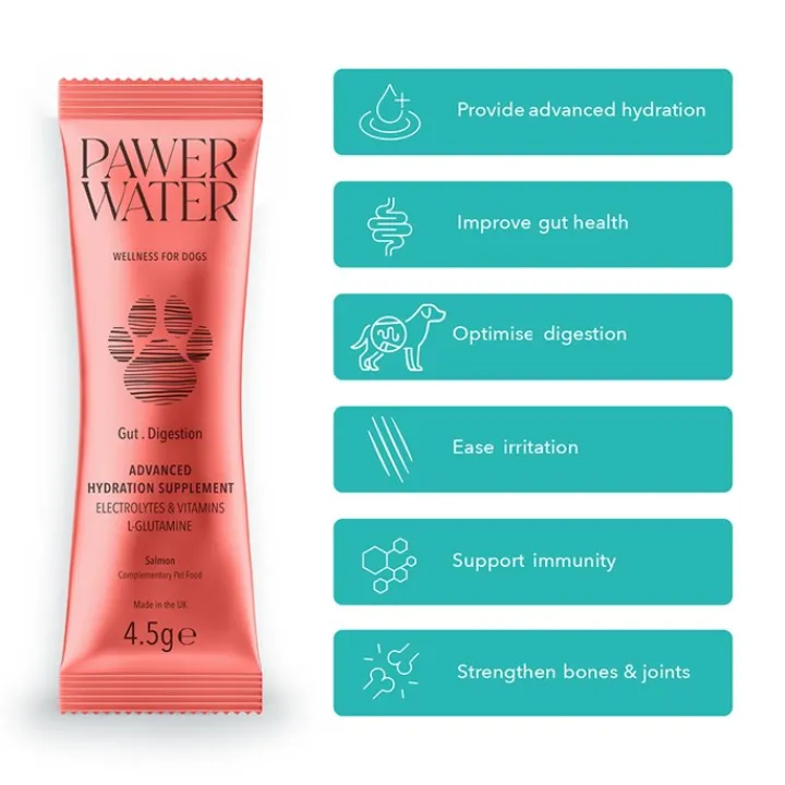 Pawer Water Gut Health Advanced Wellness Hydration for Dogs - 12 sticks Clearance