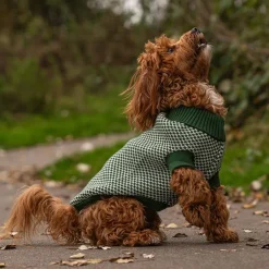 Great & Small Penrose Penrose Knitted Green Checkered Dog Jumper Fashion