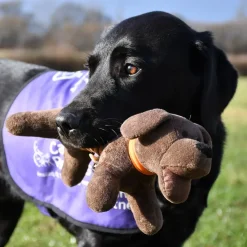 Pets Corner Leaping Petey Charity Dog Toy Discount