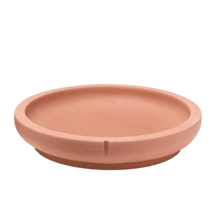 Pino Cat Saucer Foxy Terra New