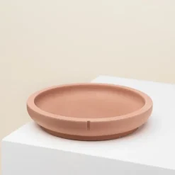 Pino Cat Saucer Foxy Terra New