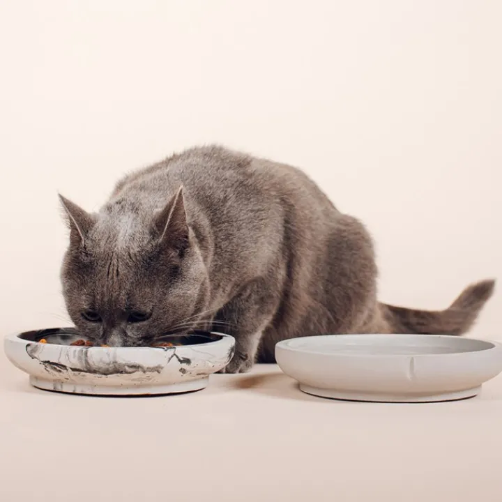 Pino Cat Saucer Marbled Dolphin Grey Online