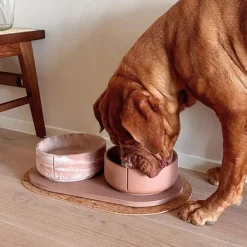 Pino Classic Dog Bowl Foxy Terra Best