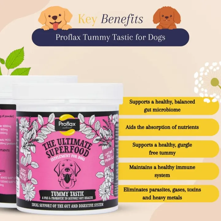 Proflax Tummy Tastic Powder Dog Supplement 125g Online