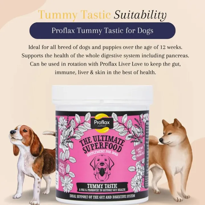 Proflax Tummy Tastic Powder Dog Supplement 125g Online