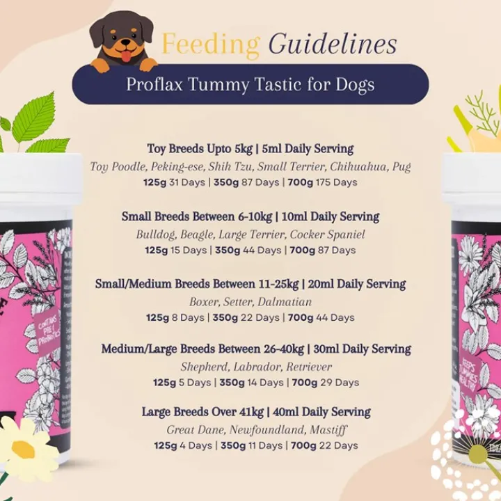 Proflax Tummy Tastic Powder Dog Supplement 125g Online