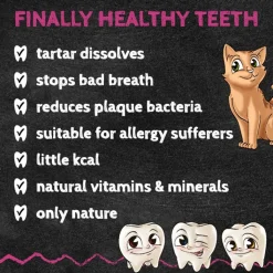 QChefs Dental Flakes for Cats 80g Sale