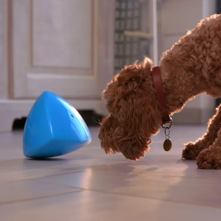 Play9 Roolo Treat Dispensing Dog Toy Online
