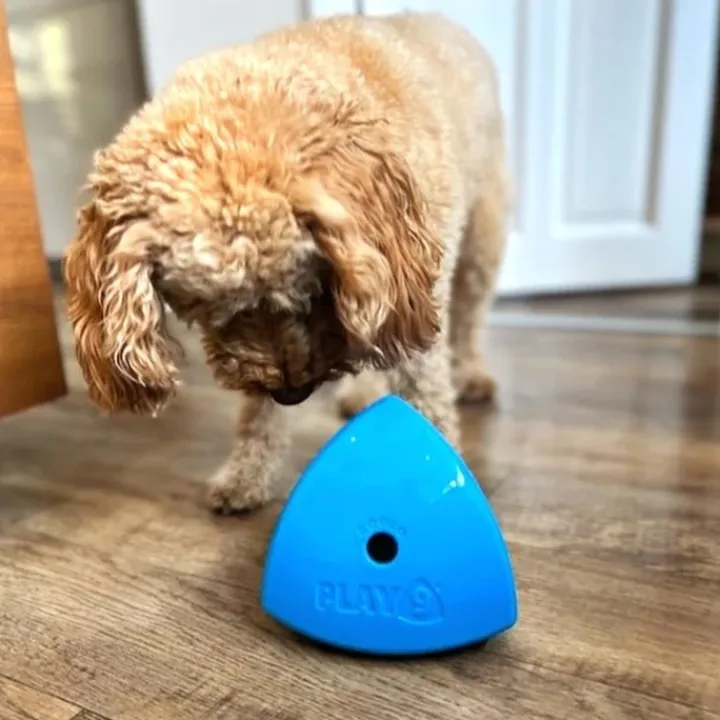 Play9 Roolo Treat Dispensing Dog Toy Online