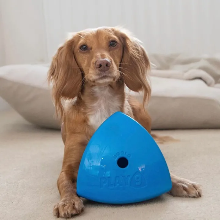 Play9 Roolo Treat Dispensing Dog Toy Online