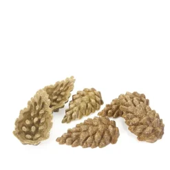 Rosewood Boredom Breaker Veggie Burst Nibble Pine Cone Treats Clearance
