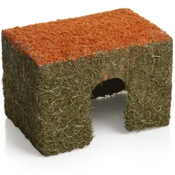 Rosewood Carrot Cottage Small Animal Chew Outlet