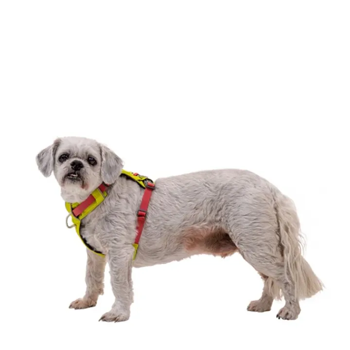 Ruffwear Hi & Light Harness Lichen Green XS Fashion