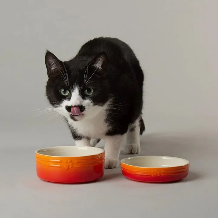 Scruffs Ombre Orange Pet Saucer 13cm New