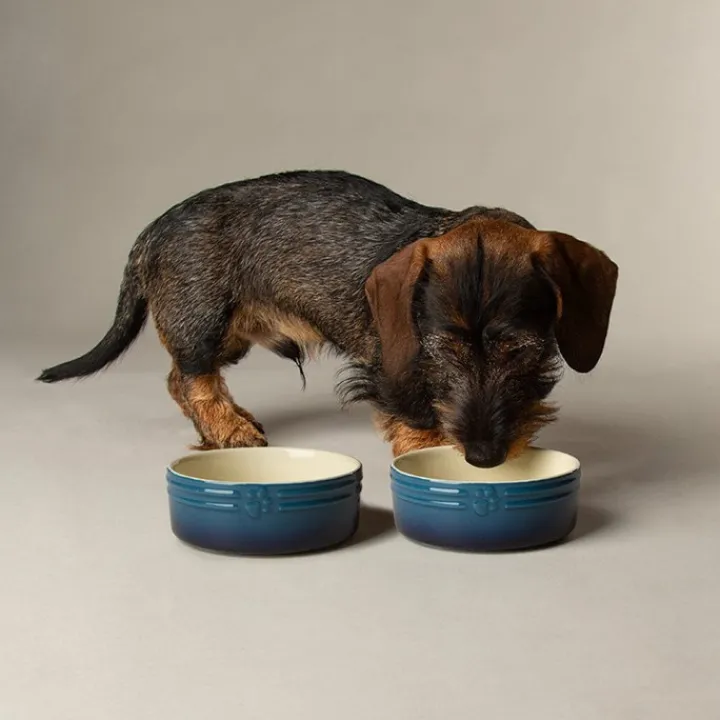 Scruffs Ombre Pet Bowl Blue 13cm Discount