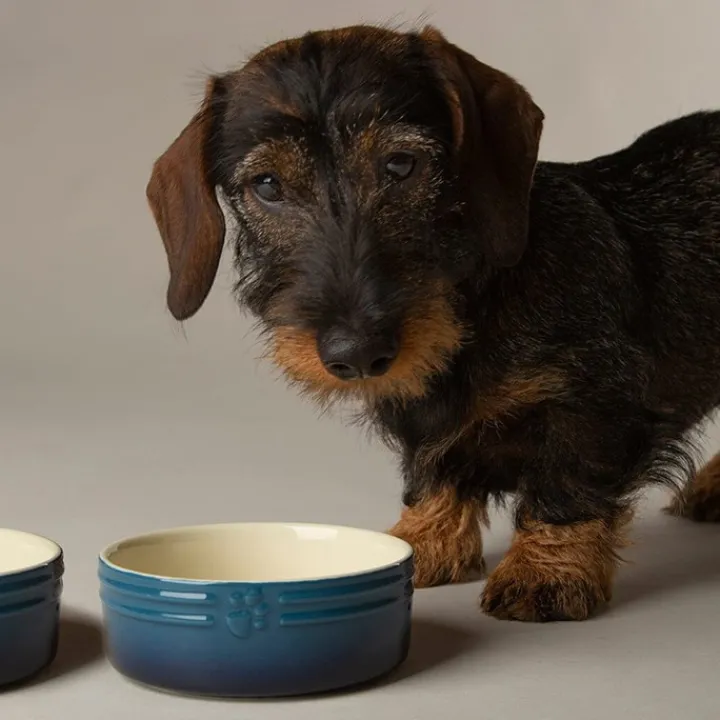 Scruffs Ombre Pet Bowl Blue 13cm Discount