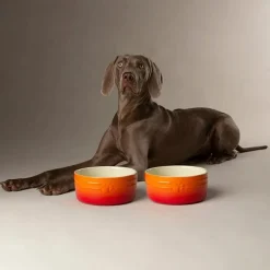 Scruffs Ombre Pet Bowl Orange 13cm Sale