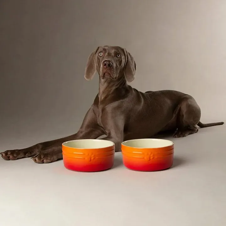 Scruffs Ombre Pet Bowl Orange 13cm Sale