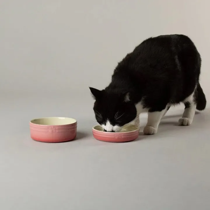 Scruffs Ombre Pink Pet Saucer 13cm Online