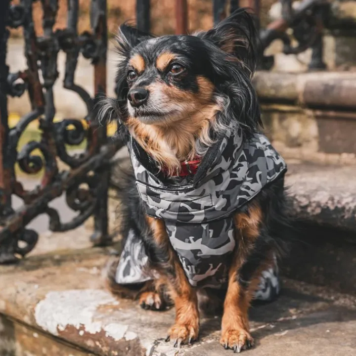 Trespaws Charly Grey Dog Camo Dog Coat New