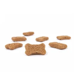 Tribal Rewards Apple, Mint & Ginger Dog Treats Hot
