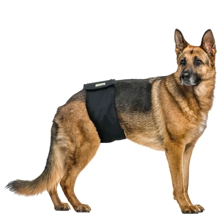 Vetlando Washable Male Pet Diaper Large Online