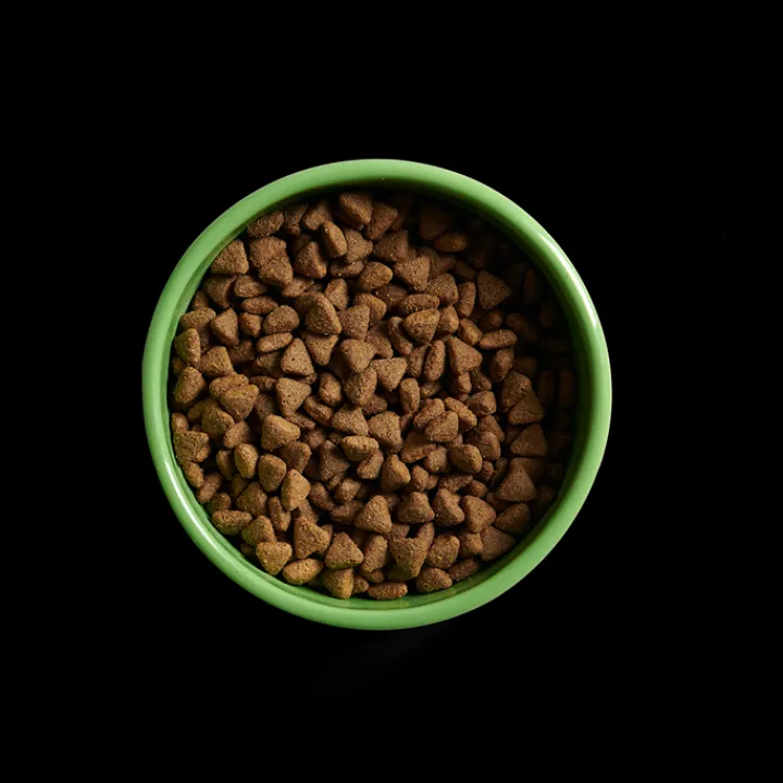Yora Insect Protein Grain Free Adult Dry Dog Food Outlet