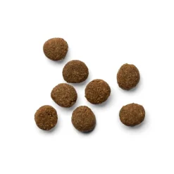 Yora Insect Protein Kitten Complete Dry Food New