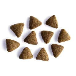 Yora Insect Protein Large Breed Dry Dog Food Fashion