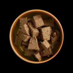 Yora Insect Protein Pâté with Carrot and Potato for Dogs Best