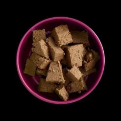 Yora Insect Protein Pâté with Beetroot and Swede for Dogs Outlet